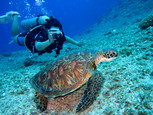 Las mejores actividades en San Andrés Islas